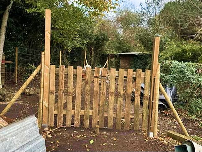 Jardin après entretien par LR Jardin, jardinier paysagiste en Gironde